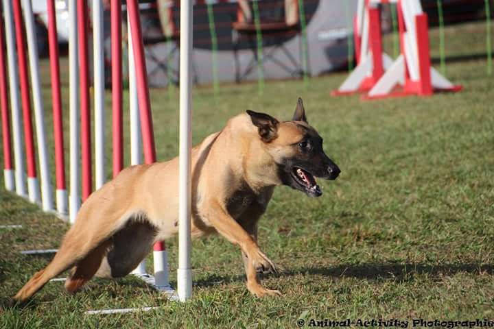 Agility